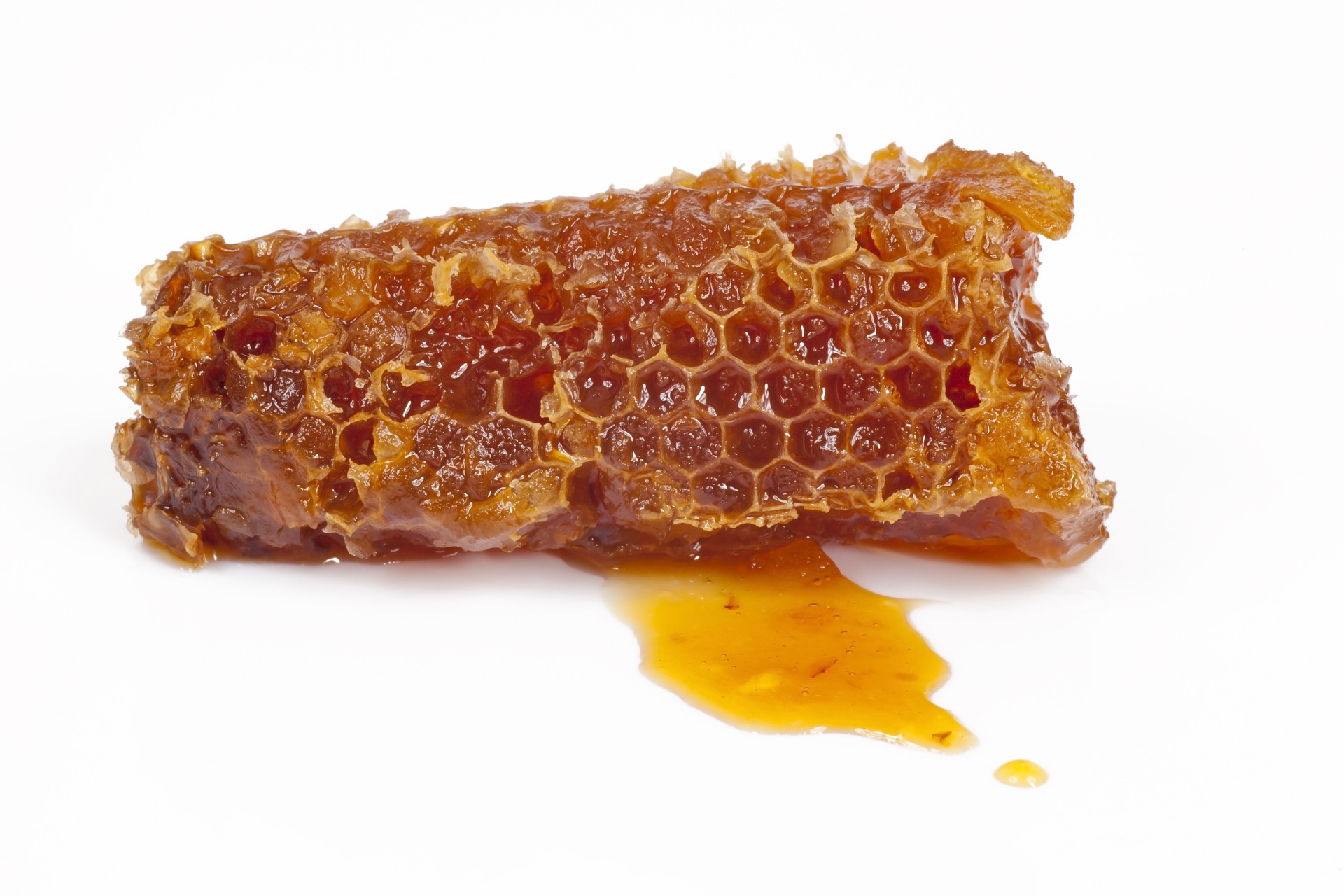 На Львівщині відкрили завод з переробки меду
